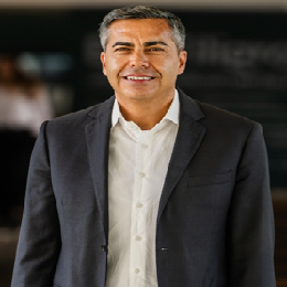 Joao Manuel R. S. Tavares